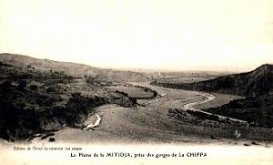 Mitidja - La Plaine